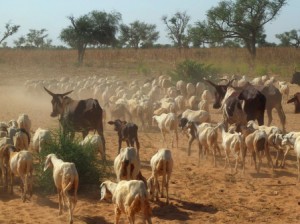 eaa1d3c7047787205281627de9fb6c34rs