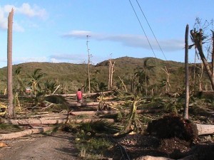 Typhoon Yolanda_(c)CDRC