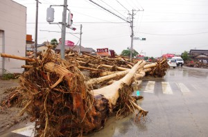 Large debris on the road