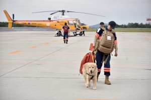 SAR dog and heli