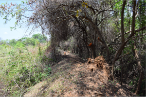 Screen Shot 2019-04-24 at 10.41.06 PM