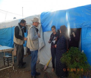Staff conducting field assessment