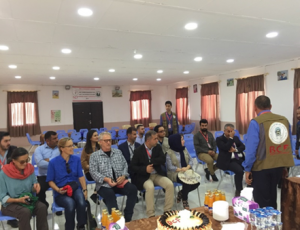 Sharing results with stakeholders