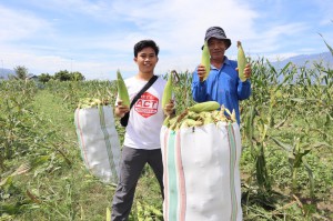 ACTスタッフとクワンタンさんートウモロコシ収穫